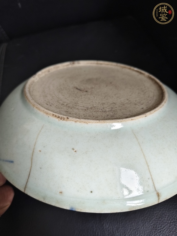 古玩陶瓷魚藻紋盤真品鑒賞圖
