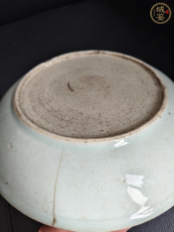 古玩陶瓷魚藻紋盤真品鑒賞圖