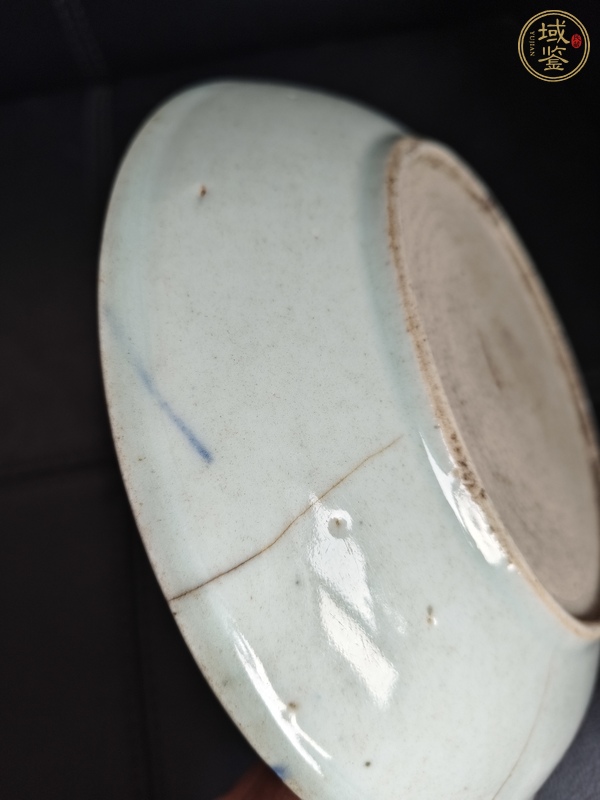 古玩陶瓷魚藻紋盤真品鑒賞圖