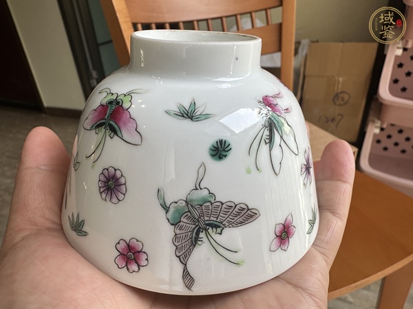 古玩陶瓷蝶紋粉彩杯真品鑒賞圖