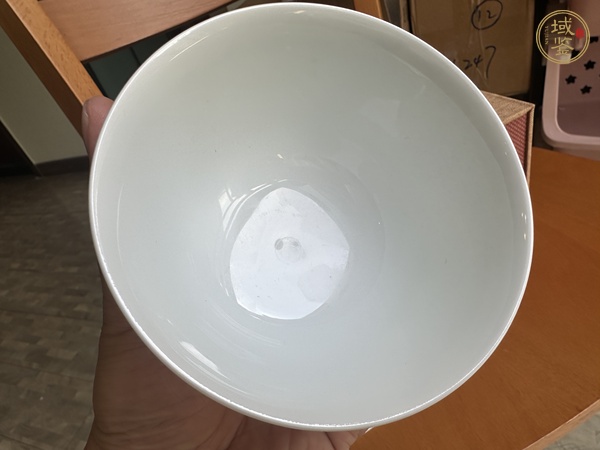 古玩蝶紋粉彩杯真品鑒賞圖