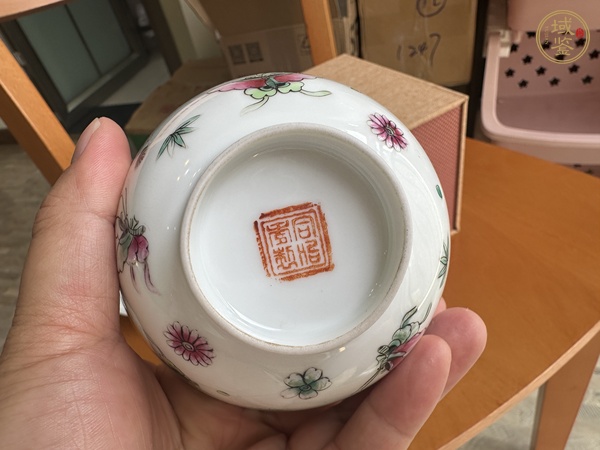 古玩陶瓷蝶紋粉彩杯真品鑒賞圖