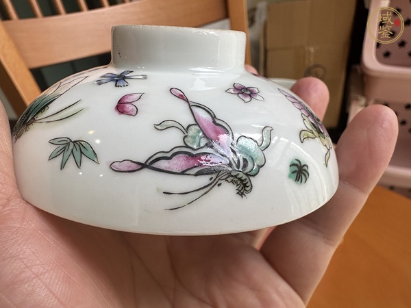 古玩陶瓷蝶紋粉彩杯真品鑒賞圖