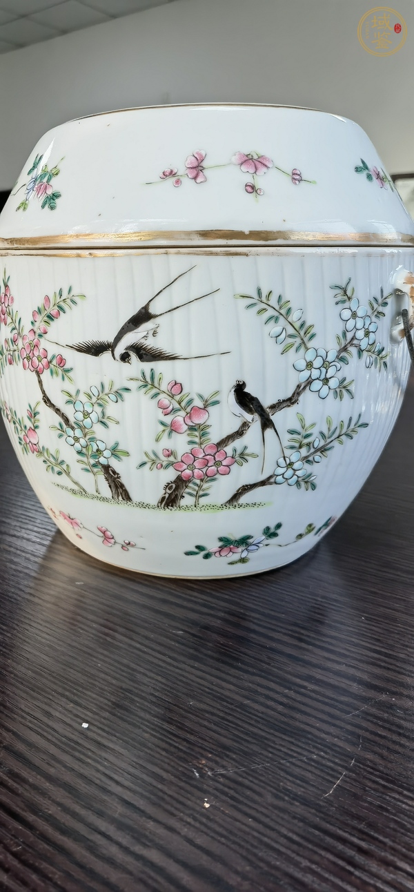 古玩陶瓷粉彩蓋罐真品鑒賞圖