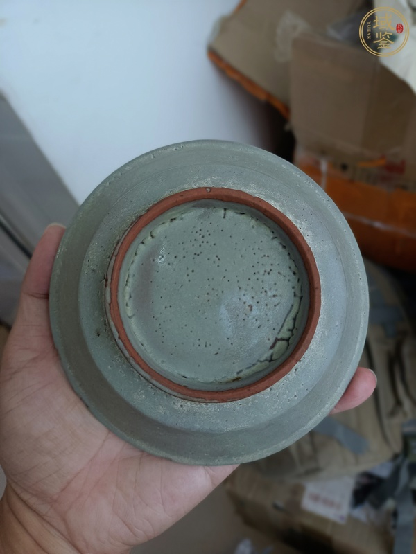 古玩陶瓷龍泉青瓷水洗真品鑒賞圖