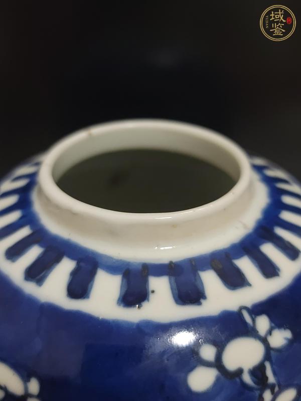 古玩陶瓷清晚期青花冰梅罐真品鑒賞圖