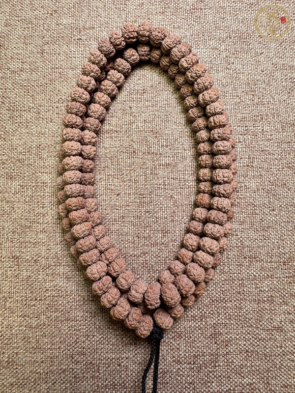 古玩金剛菩提真品鑒賞圖