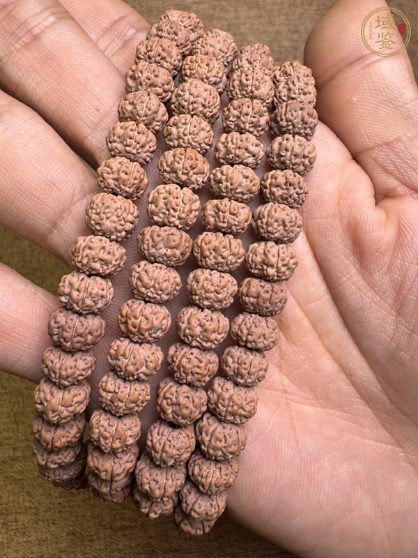 古玩雜項(xiàng)金剛菩提真品鑒賞圖