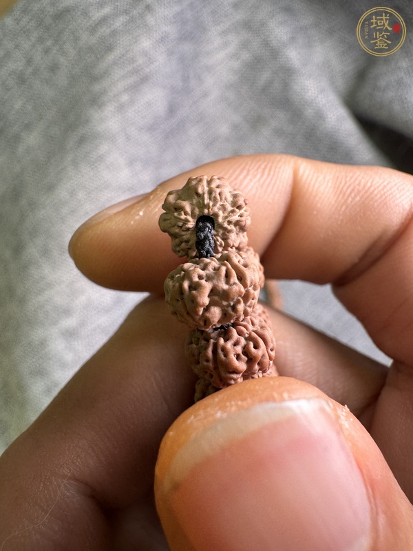 古玩雜項(xiàng)金剛菩提真品鑒賞圖