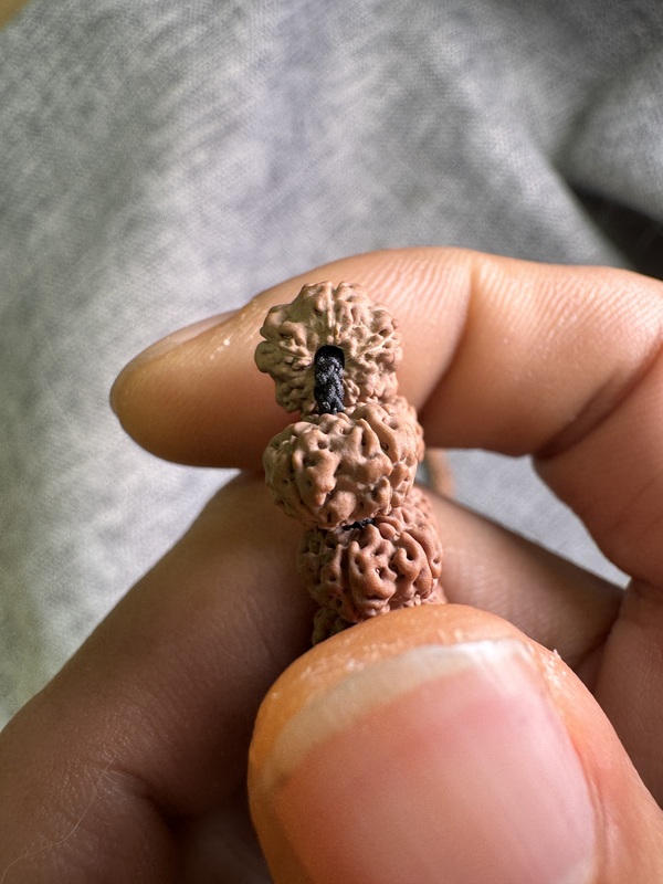 古玩雜項金剛菩提拍賣，當前價格60元