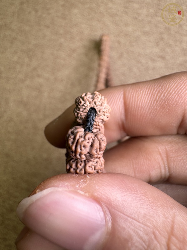 古玩雜項(xiàng)金剛菩提真品鑒賞圖