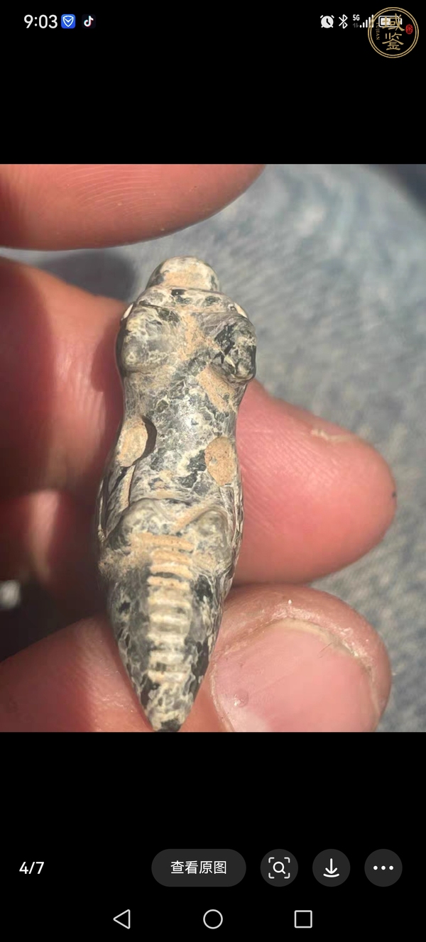 古玩玉器仿古鳥型件真品鑒賞圖