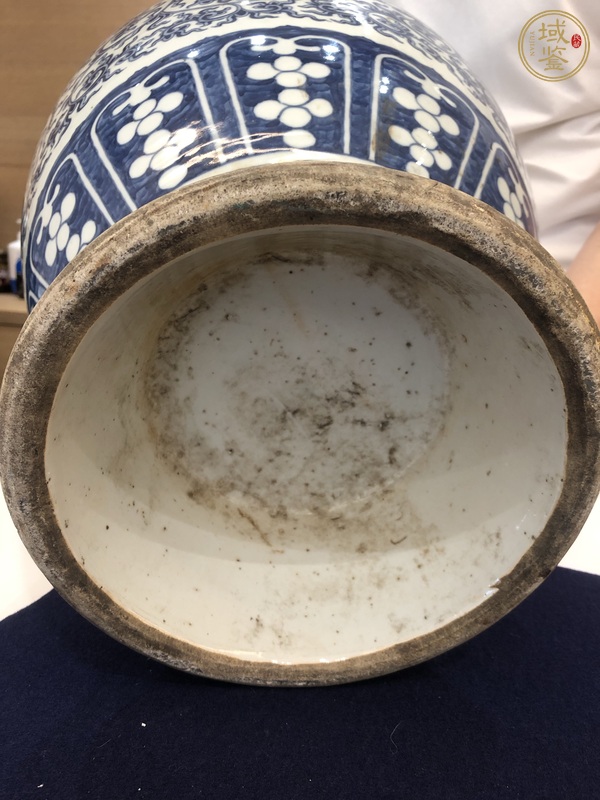 古玩陶瓷清光緒青花纏枝花卉八吉祥紋鋪首尊真品鑒賞圖