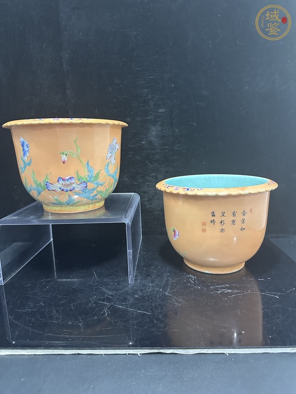 古玩陶瓷琺瑯彩花卉詩文花口花盆真品鑒賞圖