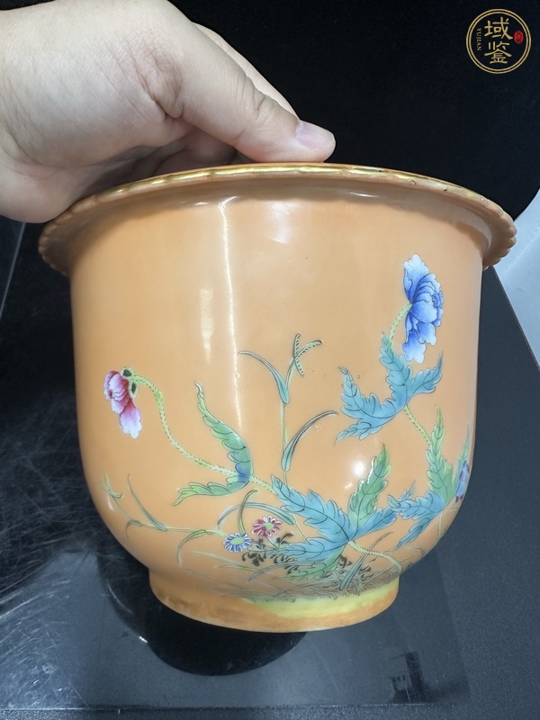 古玩陶瓷琺瑯彩花卉詩文花口花盆真品鑒賞圖