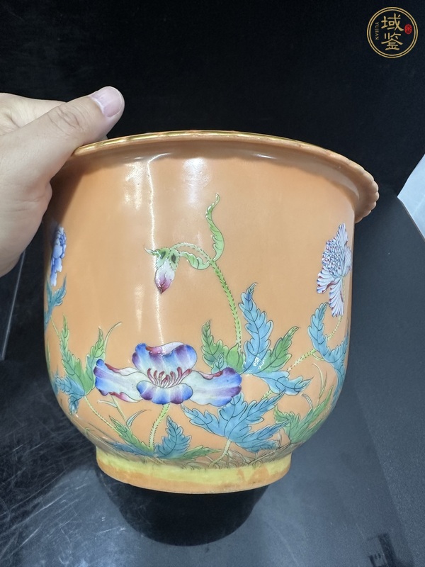 古玩陶瓷琺瑯彩花卉詩文花口花盆真品鑒賞圖