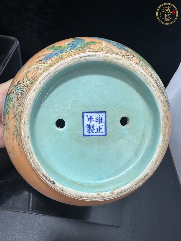 古玩陶瓷琺瑯彩花卉詩文花口花盆真品鑒賞圖