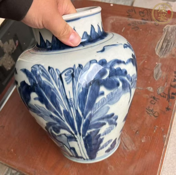 古玩陶瓷青花罐真品鑒賞圖