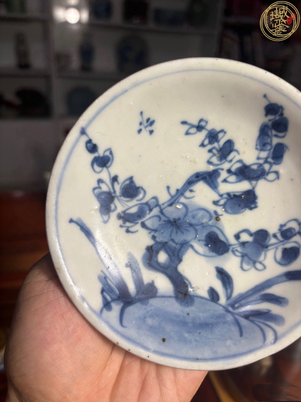古玩陶瓷清康熙 青花折枝梅花紋盤（海撈）真品鑒賞圖