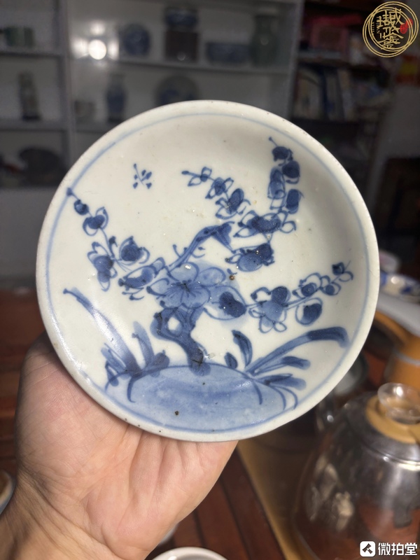 古玩陶瓷清康熙 青花折枝梅花紋盤（海撈）真品鑒賞圖