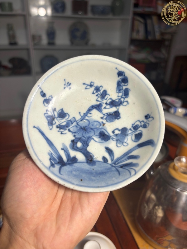 古玩陶瓷清康熙 青花折枝梅花紋盤（海撈）真品鑒賞圖