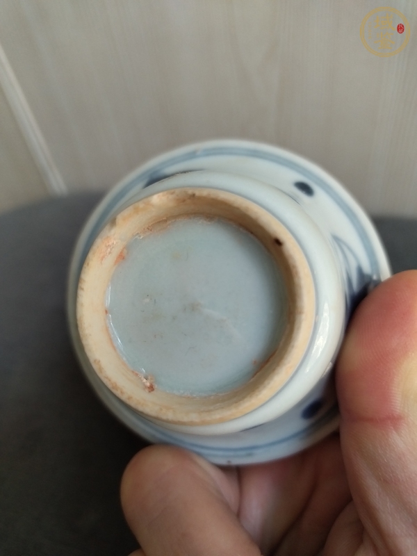 古玩陶瓷青花飛鳥杯真品鑒賞圖