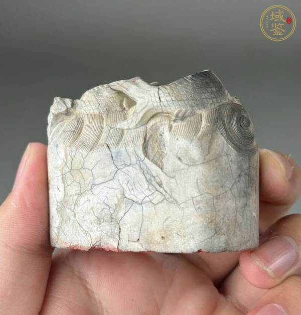 古玩雜項(xiàng)印真品鑒賞圖
