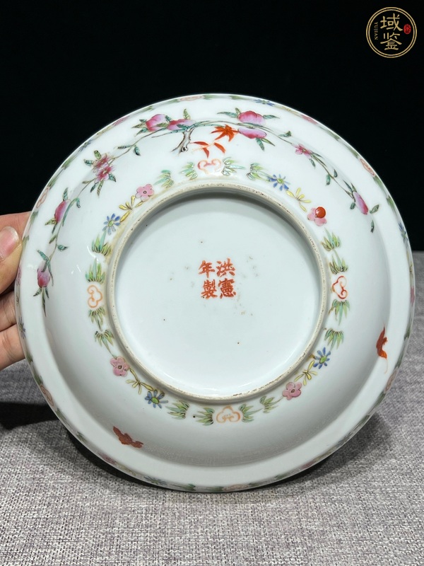 古玩陶瓷粉彩盤真品鑒賞圖
