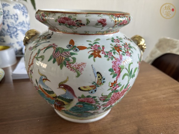 古玩陶瓷廣彩雉雞牡丹圖獅耳罐真品鑒賞圖