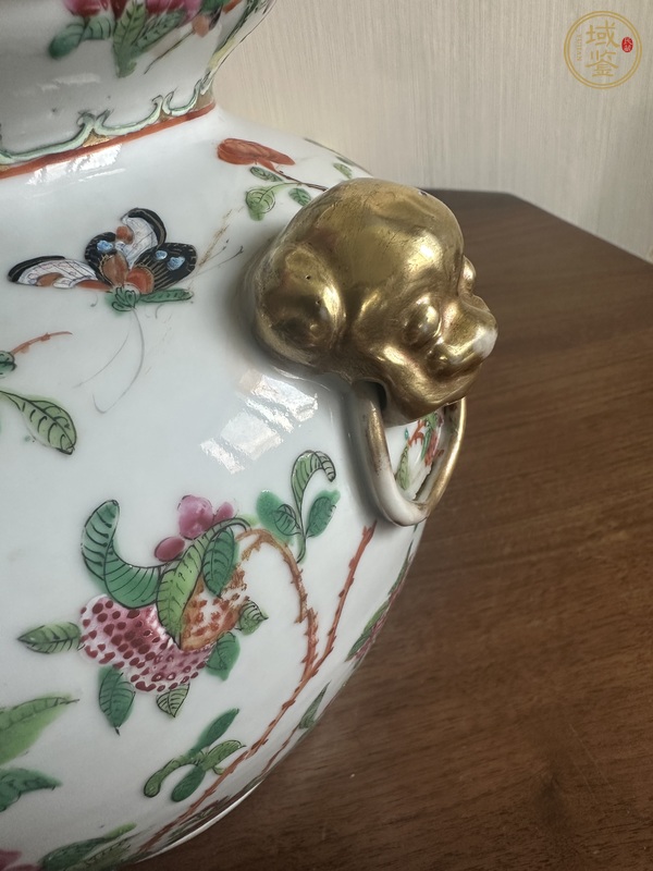 古玩陶瓷廣彩雉雞牡丹圖獅耳罐真品鑒賞圖