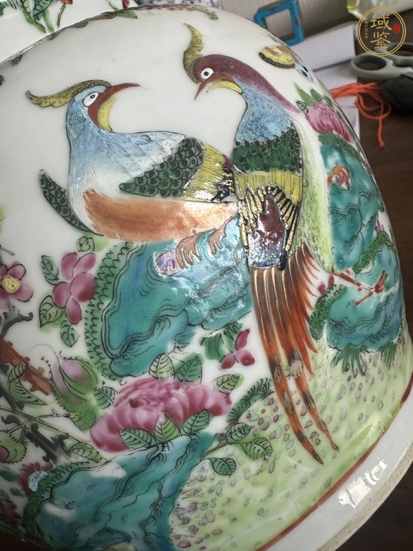 古玩陶瓷廣彩雉雞牡丹圖獅耳罐真品鑒賞圖