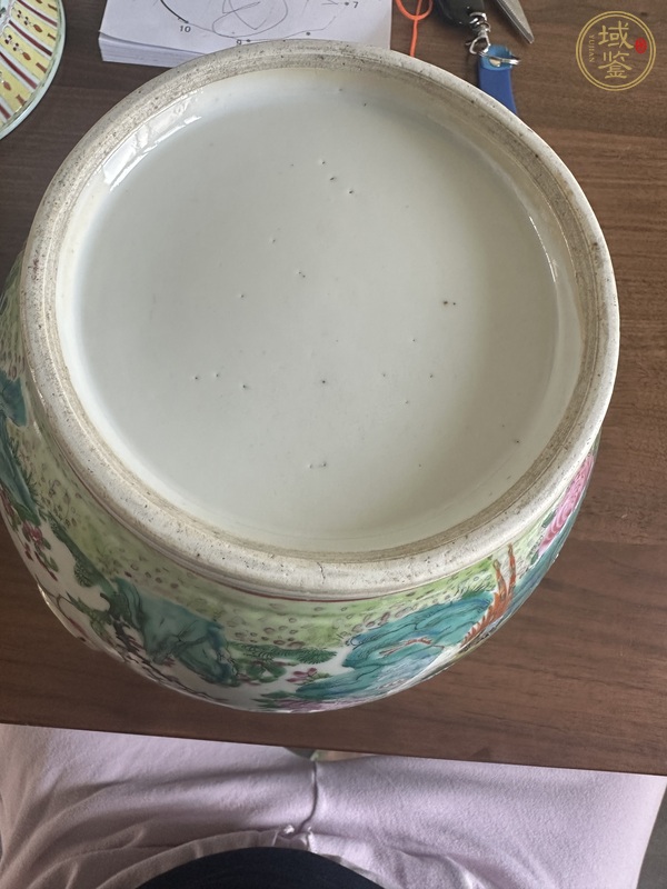 古玩陶瓷廣彩雉雞牡丹圖獅耳罐真品鑒賞圖