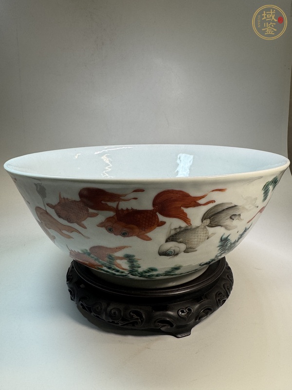 古玩陶瓷粉彩魚藻紋碗真品鑒賞圖