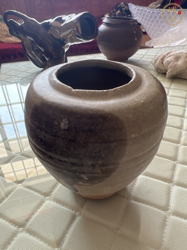 古玩陶瓷青釉褐彩罐真品鑒賞圖