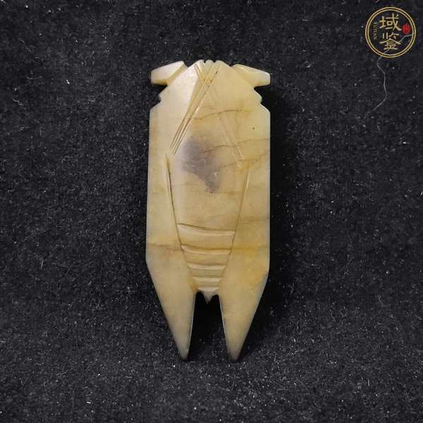 古玩玉器仿古玉蟬真品鑒賞圖