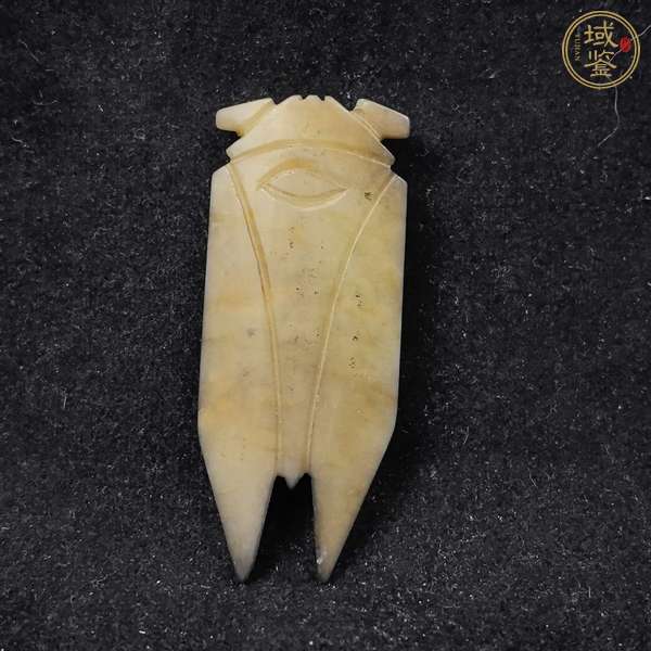 古玩玉器仿古玉蟬真品鑒賞圖