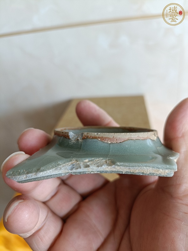 古玩陶瓷龍泉官標本真品鑒賞圖