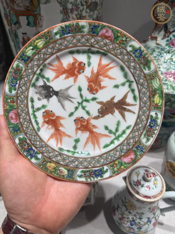 古玩陶瓷廣彩魚藻紋盤真品鑒賞圖