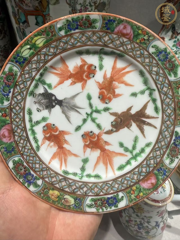 古玩陶瓷廣彩魚藻紋盤真品鑒賞圖
