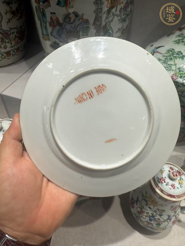 古玩陶瓷廣彩魚藻紋盤真品鑒賞圖