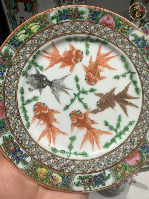 古玩陶瓷廣彩魚藻紋盤真品鑒賞圖
