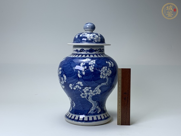 古玩陶瓷清晚期·青花留白冰梅紋將軍罐真品鑒賞圖