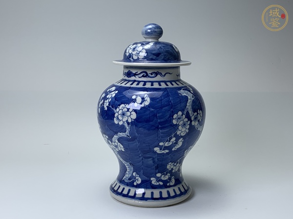 古玩陶瓷清晚期·青花留白冰梅紋將軍罐真品鑒賞圖