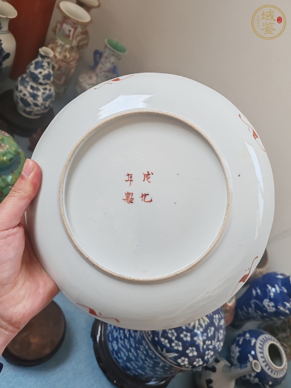 古玩陶瓷粉彩花卉紋花口盤真品鑒賞圖