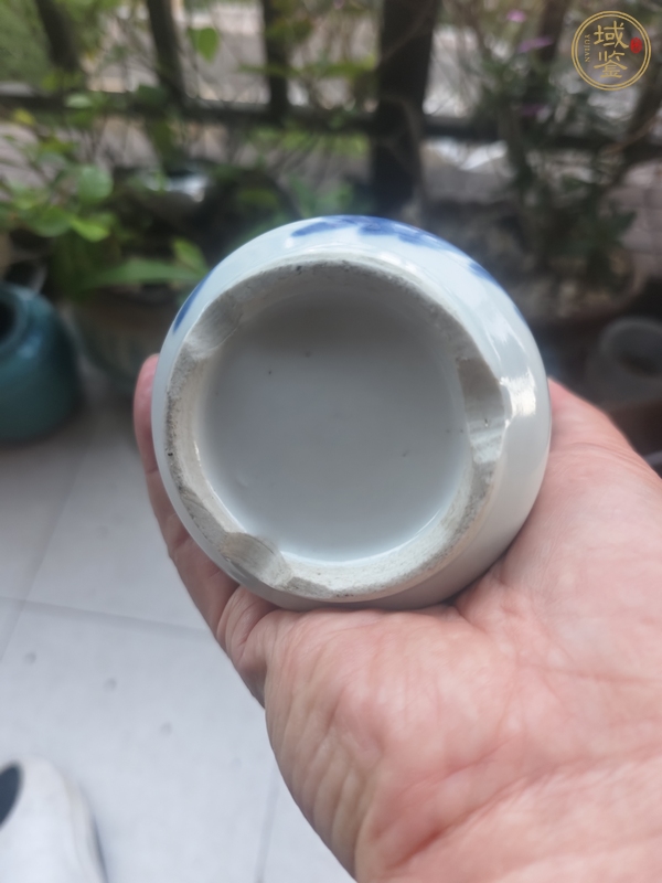 古玩晚清青花蓋罐真品鑒賞圖