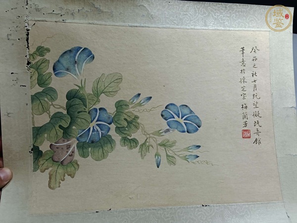 古玩字畫梅蘭芳款花卉真品鑒賞圖