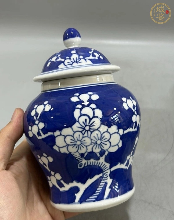 古玩陶瓷青花冰梅圖蓋罐真品鑒賞圖