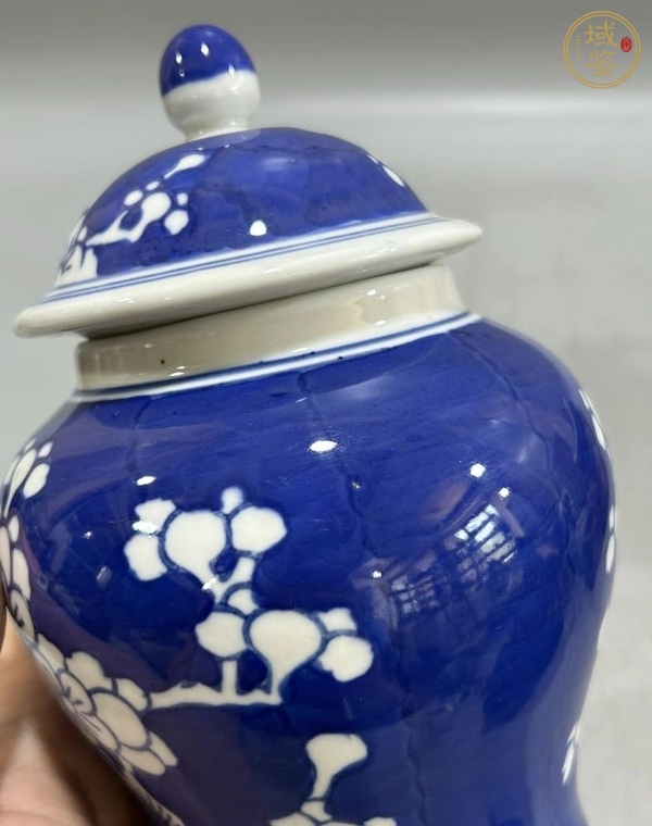 古玩陶瓷青花冰梅圖蓋罐真品鑒賞圖