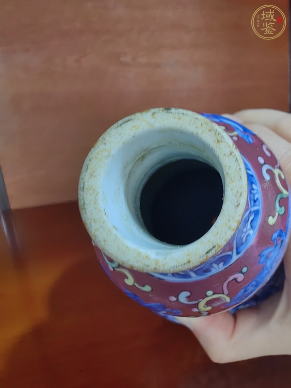古玩陶瓷青花加彩花鳥紋葫蘆瓶真品鑒賞圖