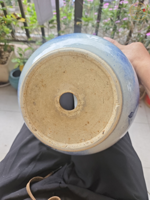 古玩陶瓷清中期青花云龍紋花盆真品鑒賞圖